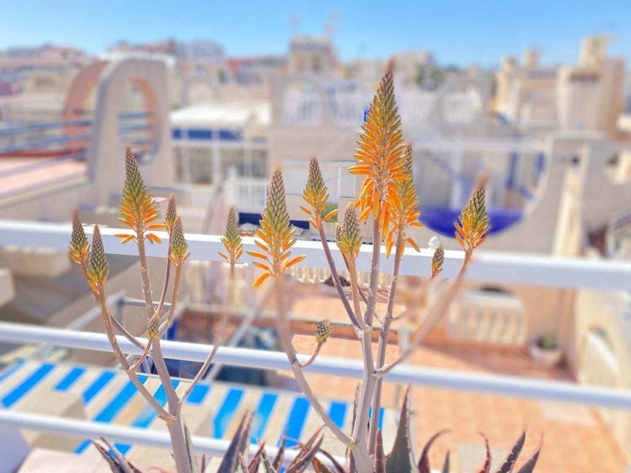 Sea View Apartments Dunas De La Mata Torrevieja Exterior foto